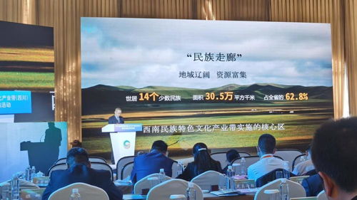 2021西南民族特色文化產業帶發展指南 總投資1960億元，開啟文化產業新篇章